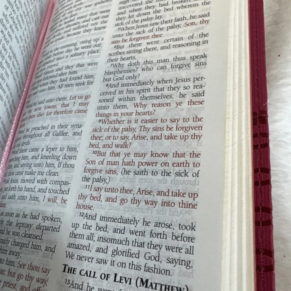 Barbour Holy Bible King James Version Pink Faux Leather KJV 9781616265229
